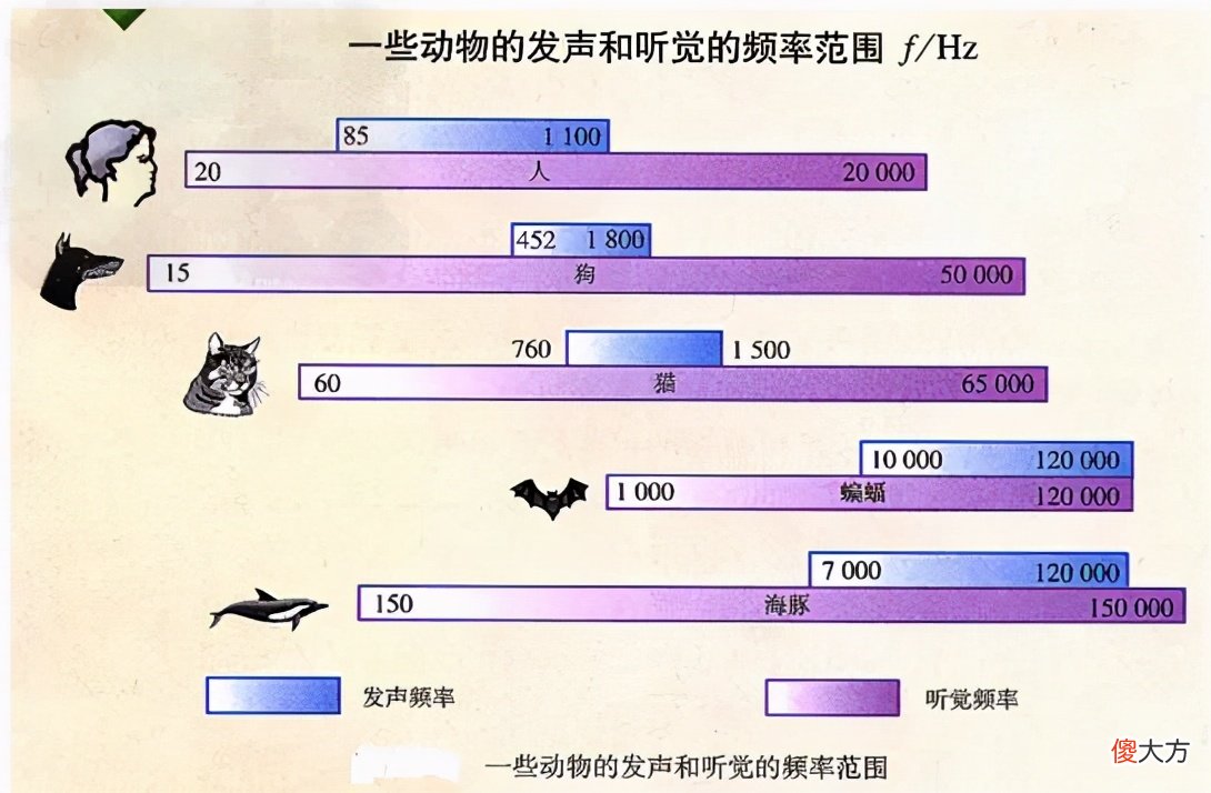 小小的蚊子为什么能把人吵醒 为什么蚊子会把人吵醒