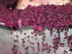 河北马丁葡萄酒赤霞珠 马丁酒庄赤霞珠干红葡萄酒