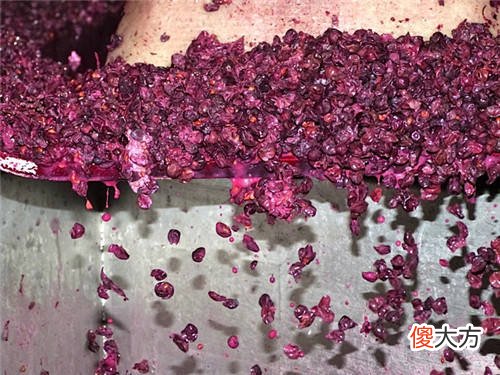 河北马丁葡萄酒赤霞珠 马丁酒庄赤霞珠干红葡萄酒