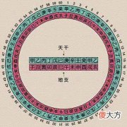 什么叫地支、阳支、阴支？