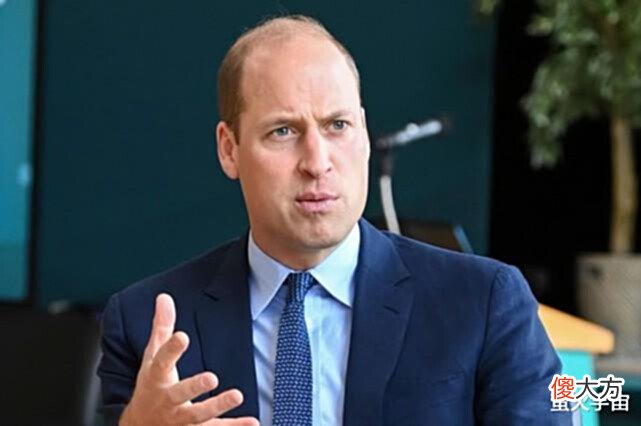 【爱历史】英国首相约翰逊多次“走后门”,试图为妻子找工作找到王室头上