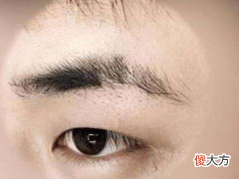 男人从眉毛看面相怎样看