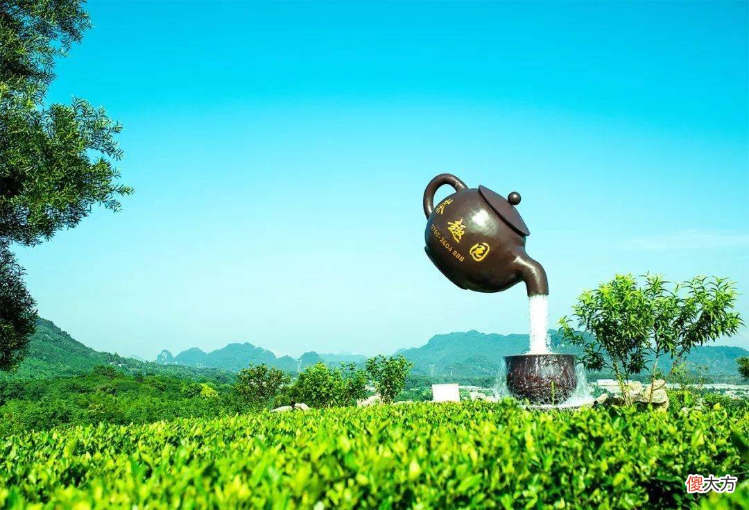 广东的一座城市 广东的一个城市