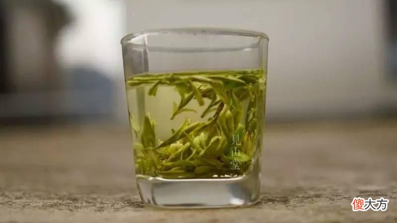 关于绿茶你所需要知道的都在这了 绿茶的绿茶