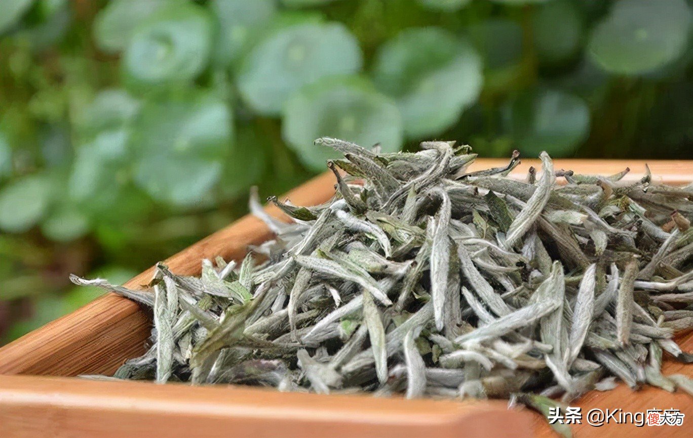 喝红茶好还是绿茶好 夏天喝红茶好还是绿茶好