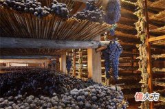 葡萄皮渣可防牙菌