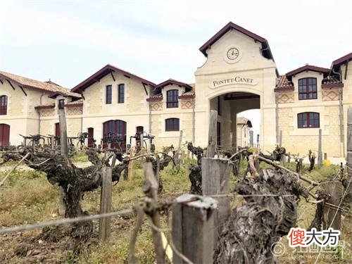 好酒为什么贵 酒真的不好喝