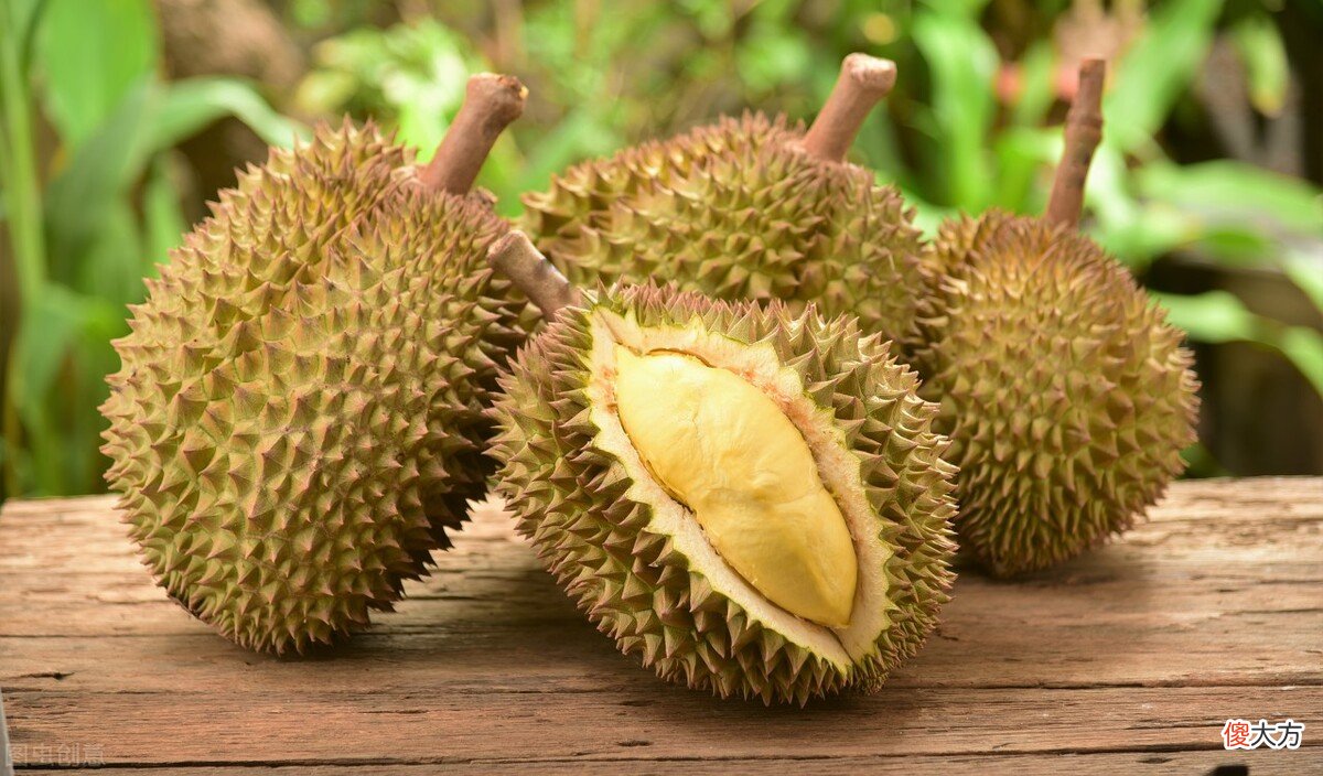 榴莲是什么季节的水果 榴莲是什么时候季节的水果