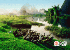 15，戊寅是什么意思，戊寅详解