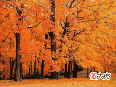 9，壬申是什么意思，壬申详解