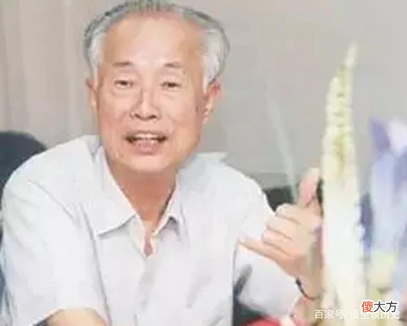 【爱历史】林若：一身正气，两袖清风，得到过王光美的称赞