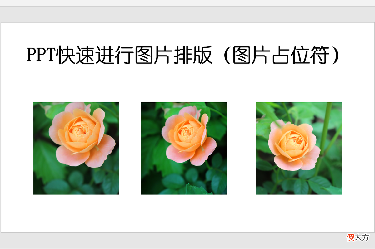 PPT多图快速排版 PPT多图排版