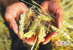 7，庚午是什么意思，庚午详解