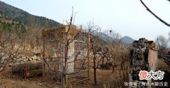【历史故事】村民陵墓挖来“金顶凤冠”，让新娘子戴上庆祝，结局悲惨无一幸免