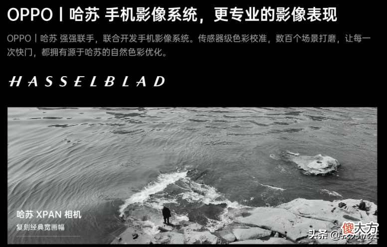 清新大片用什么手机拍 鲜花用什么手机拍照效果好