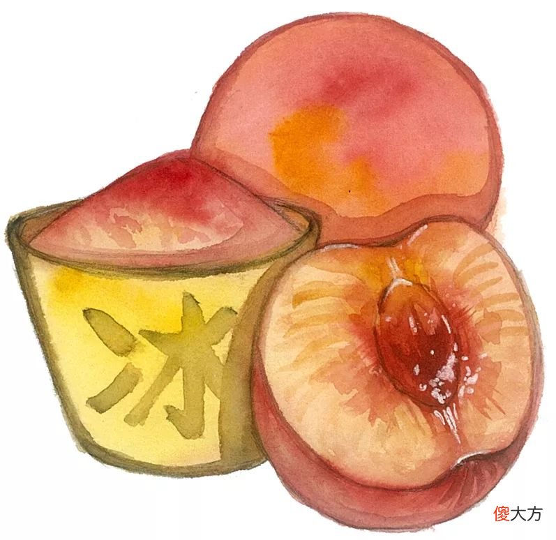 桃子的9大功效你一定要知道 讲一讲桃子的功效