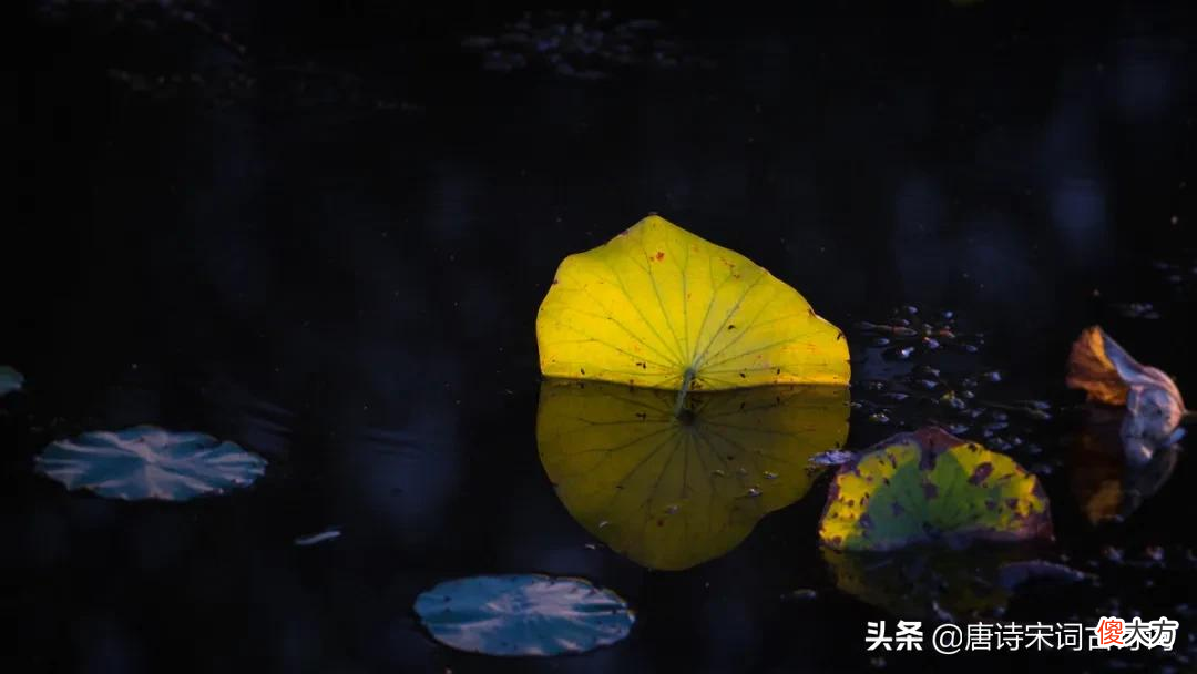 古诗词里的初秋 初秋 古诗词