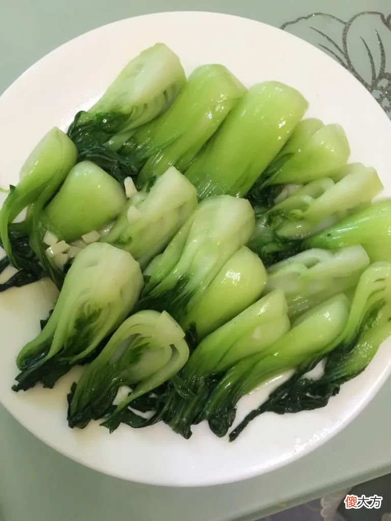 上海青和小油菜 上海青和小油菜是一种菜吗