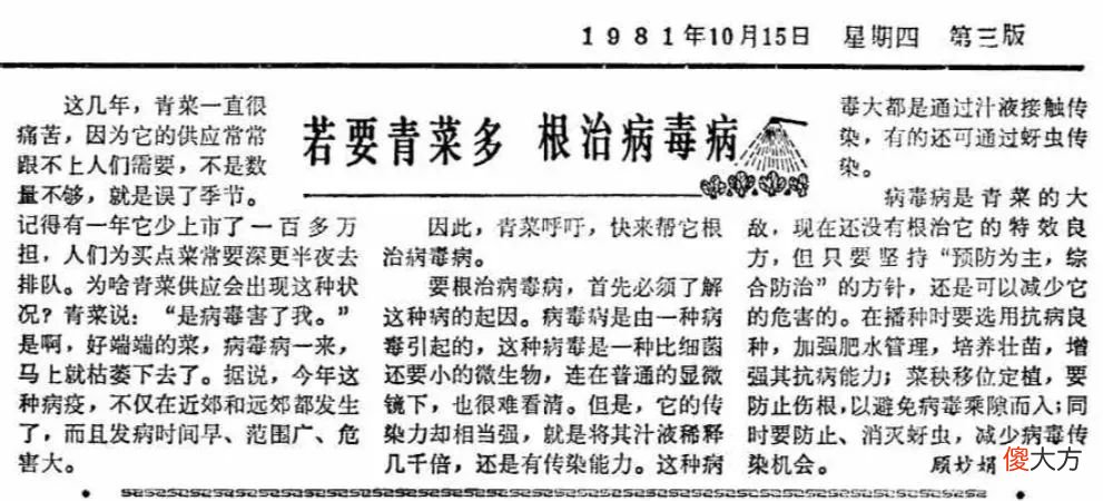 上海青和小油菜 上海青和小油菜是一种菜吗