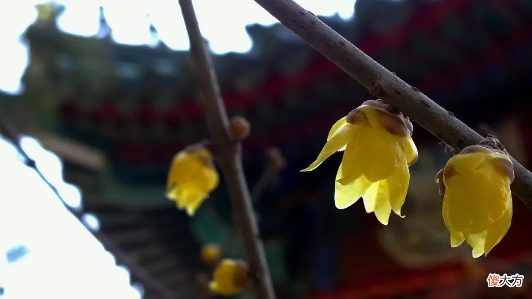 现在1块钱能买啥 1块钱买什么手机好