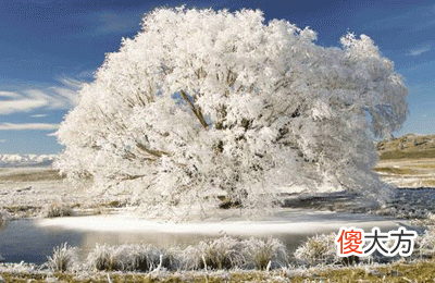 11，甲戌是什么意思，甲戌详解