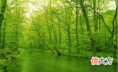 20，癸未是什么意思，癸未详解