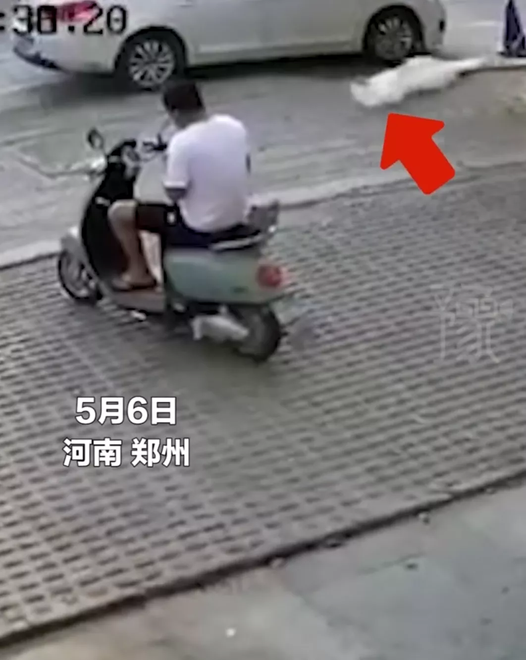 我要上 头条 笑不活了！你见过一个有灵魂的塑料袋吗？近日