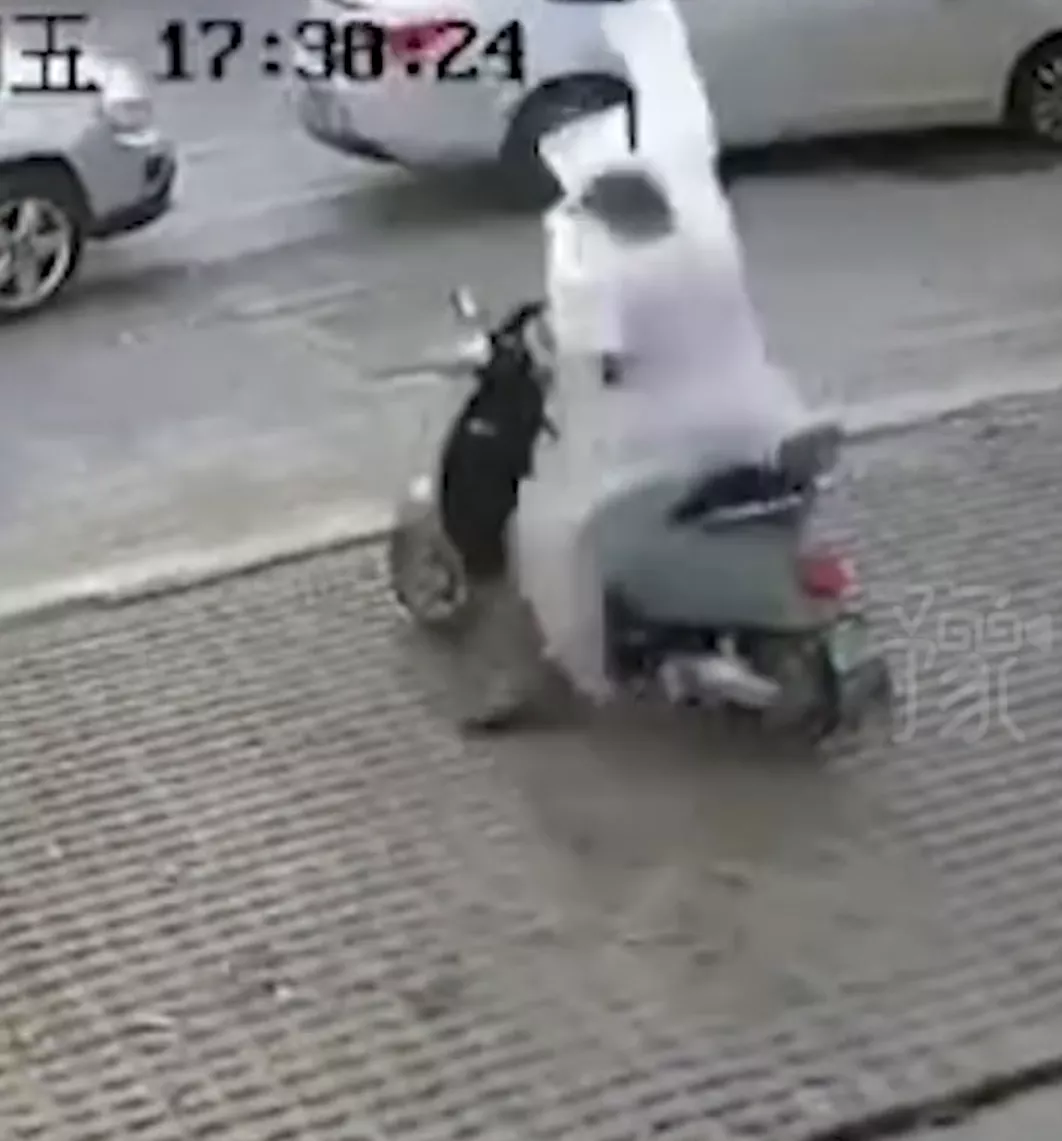 我要上 头条 笑不活了！你见过一个有灵魂的塑料袋吗？近日