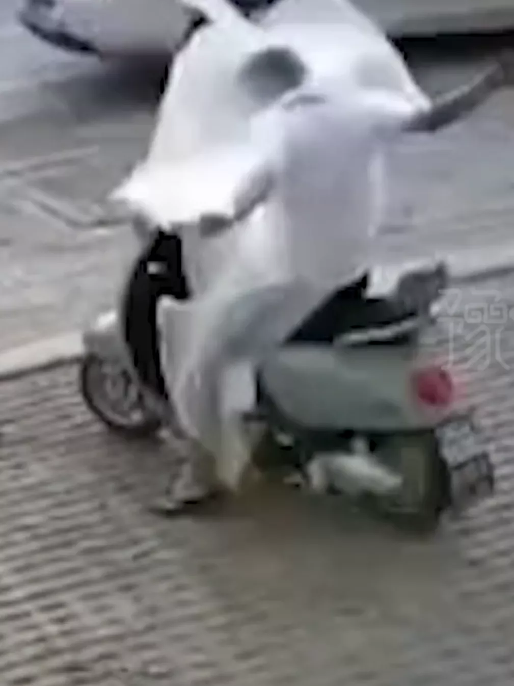 我要上 头条 笑不活了！你见过一个有灵魂的塑料袋吗？近日