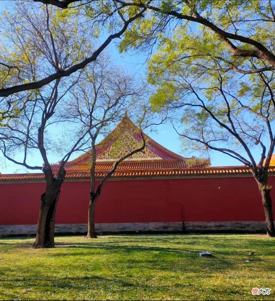 故宫建筑的精美比不过其艺术的绝伦 故宫的建筑实在是无与伦比的杰作