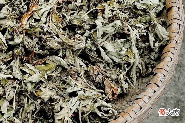 艾草收割时间分几次 艾草一年收割几次
