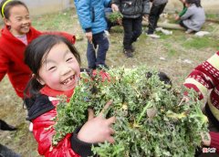 农村出镜率极高的8种剧毒植物 农村最常见的剧毒植物