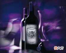 我国进口葡萄酒的现状 葡萄酒进口商产品应避免陷阱