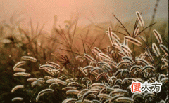 47，庚戌是什么意思，庚戌详解