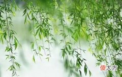 古诗中动静结合手法的运用及赏析 运用动静结合手法的诗句有哪些