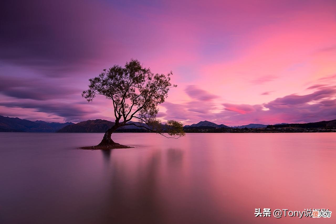 单反相机拍照还不如手机拍的好看 为什么感觉单反拍的还没手机好