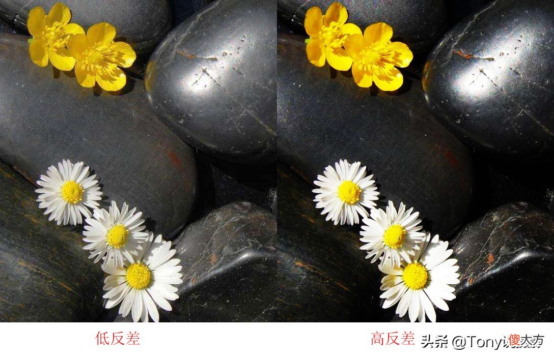 单反相机拍照还不如手机拍的好看 为什么感觉单反拍的还没手机好