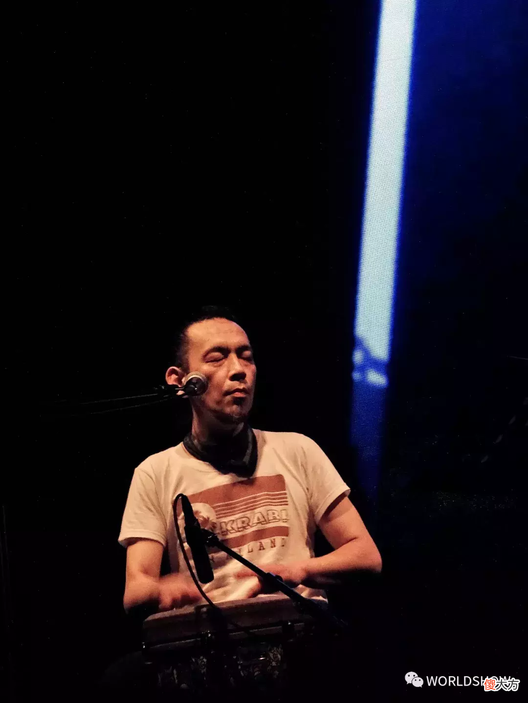 野孩子乐队与 野孩子 乐队