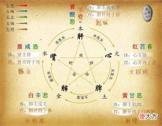 五行与人体脏位对照表 五行属性与人体五脏的对应关系