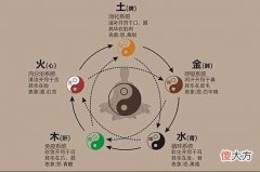人体五行图 五行与医学