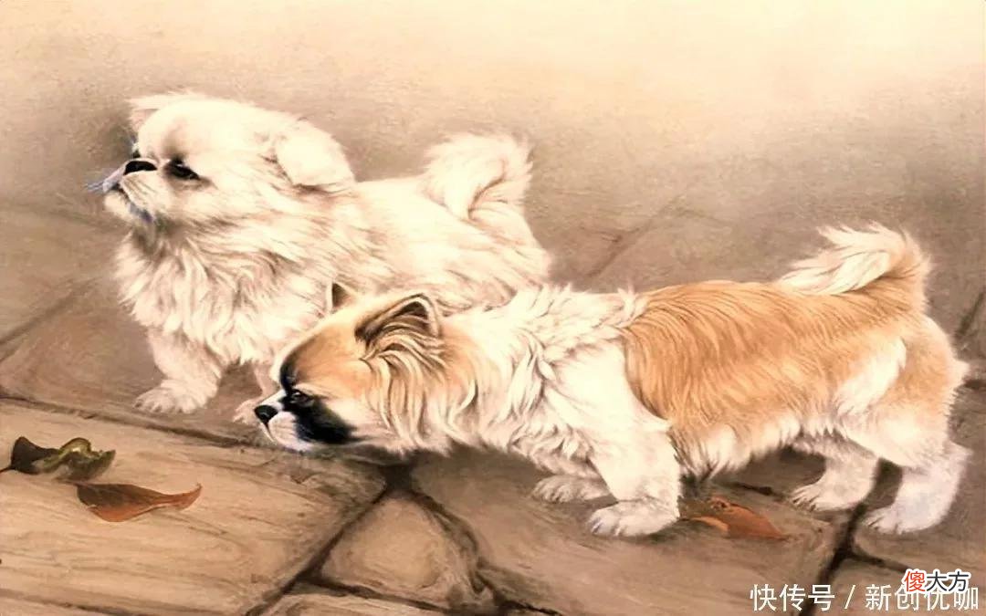 【十二星座】7月初，好运当头，大吉大利，梦想接近现实，来财来福的三个生肖