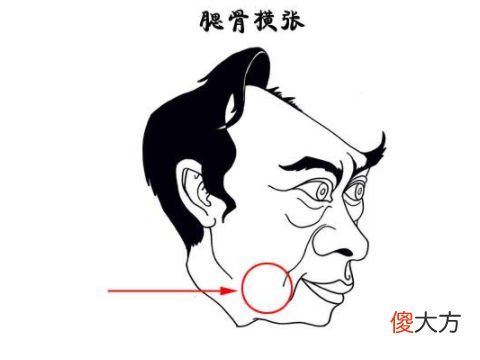 坏男人面相分析大全