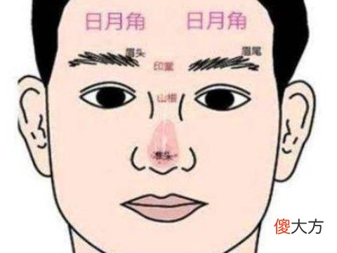 智商高的人面相如何看