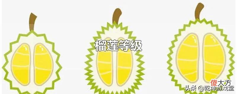 榴莲的等级及如何挑选..... 榴莲什么等级最好