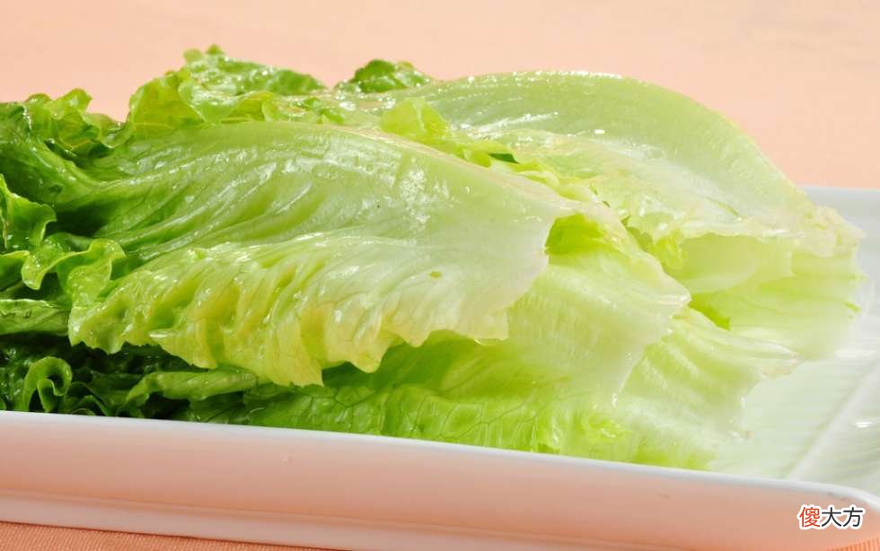观赏鱼喜欢摄食的蔬菜水果会有哪些 鱼喜欢吃什么水果蔬菜