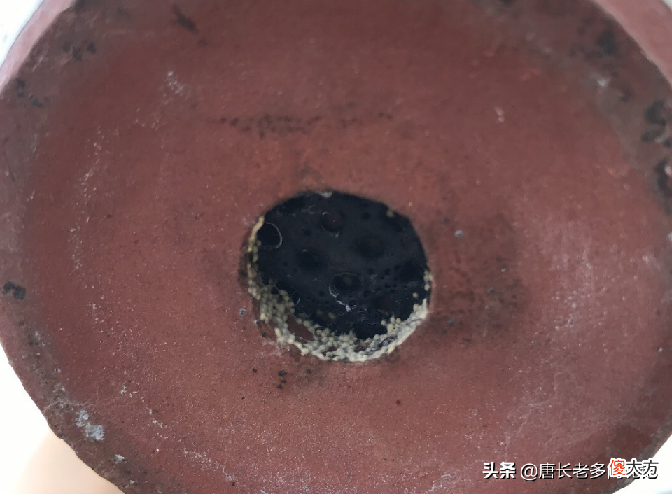 虫卵还是霉菌 霉菌是虫卵吗