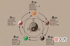 五脏强弱和性格的关系