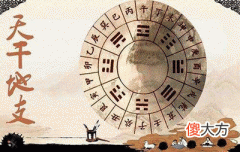 何为八字衰旺