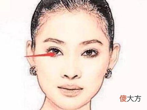 怎么看女人智商高的面相