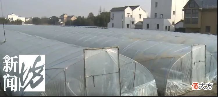 手机信号断断续续 手机信号一阵好一阵不好什么情况